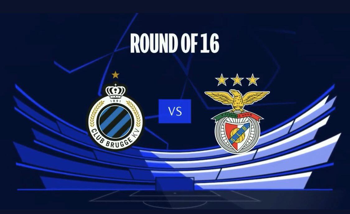 中国男篮的 中国男篮的